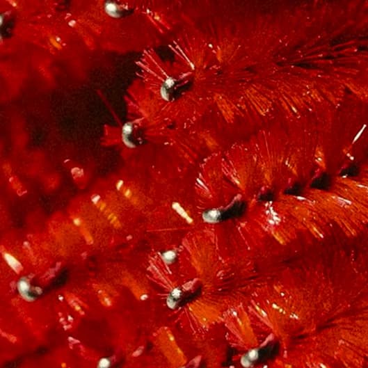 Lash/Brow Lami & Tint (monthly) at Starling Beauty in Benson, NC